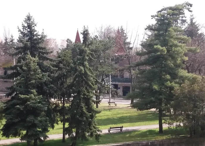 Origo Daire Eğri